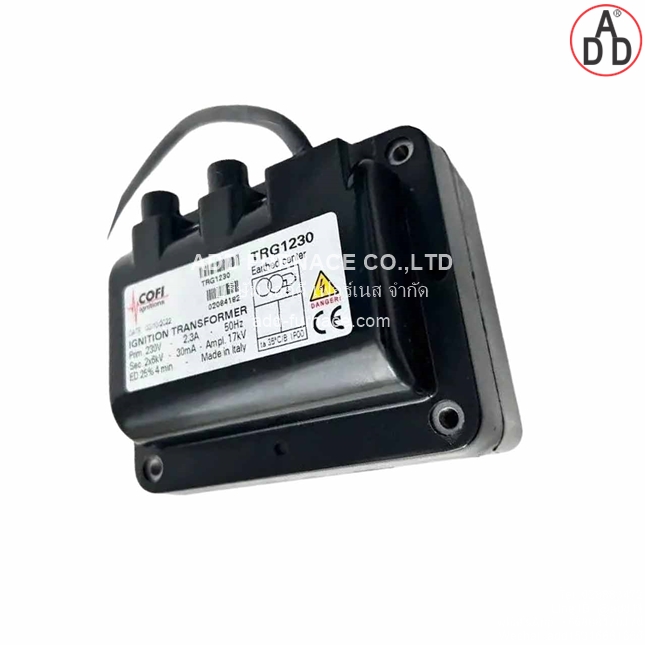 Cofi Ignition Transformer TRG1230 (2)